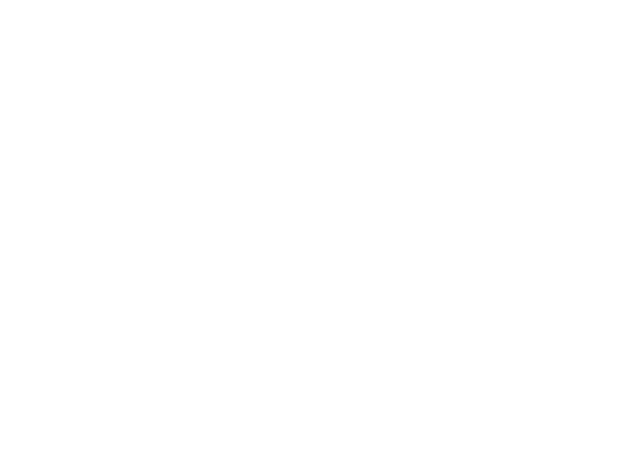 Logo 20